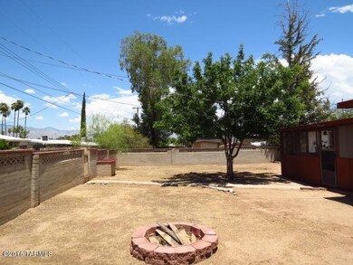 Backyard View 1