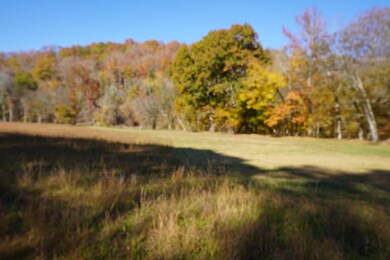 0 Upper Standing Rock Rd unit RTC2969170, Dover, TN 37058 - photo 5