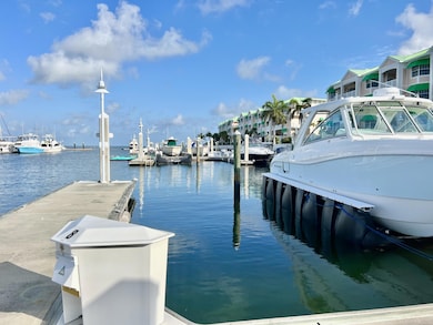 Grouper Pier 8