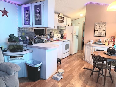 1187 Rainbow Cir, Eustis, FL 32726 - photo 6