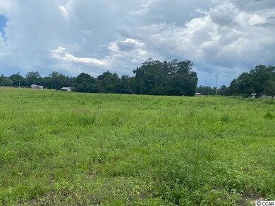 Lot 3A Antioch Rd, Conway, SC 29527 - photo 6