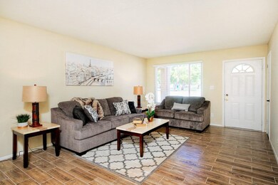 3741WPoinsetta005