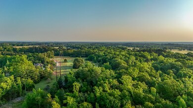 000 County Road 2465, Mineola, TX 75773 - photo 4