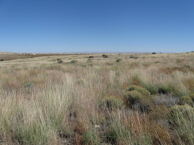 17-040 Alpine Ranch, Flagstaff, AZ 86004 - photo 7