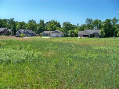Looking SE from rear of property