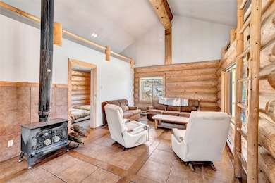 38500 Lobo Ct, Steamboat Springs, CO 80487 - photo 3