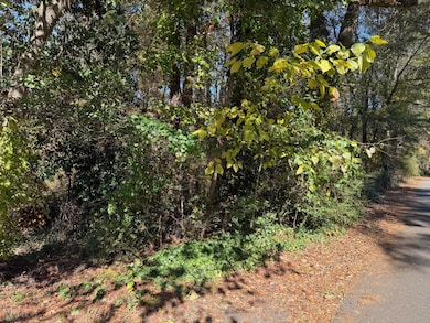 3285 Lake Dr, Lawrenceville, GA 30044 - photo 4