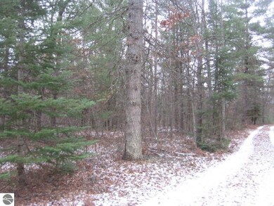 0 S Williams unit 1778653, Alger, MI 48610 - photo 5