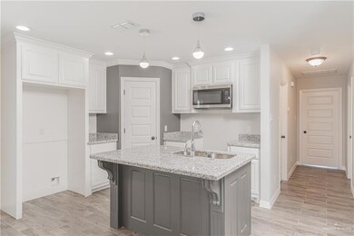 210 E Irvine Ave, Alamo, TX 78516 - photo 3