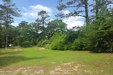 Picture8