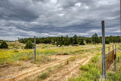 paxmanphoto_PAX_0647 (Large)