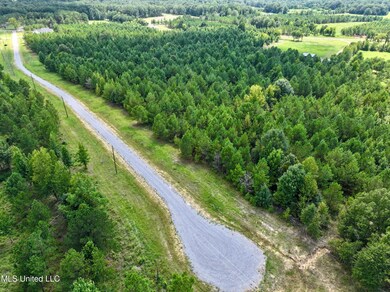 Stout Farm Drive Lot: 64, Madison, MS 39110 - photo 7