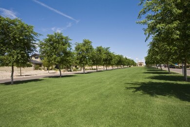 Arcadia Park