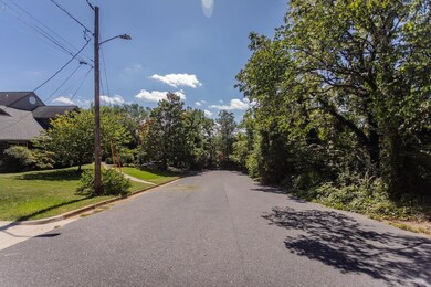 321 W View St, Harrisonburg, VA 22801 - photo 3