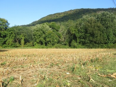 2A 0 Old Mountain Rd, Hadley, MA 01035 - photo 2