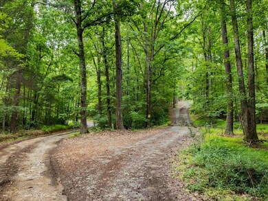 390 New Salem Church Rd, Pittsboro, NC 27312 - photo 5