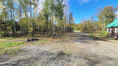 2955 N Tamar Cir, Wasilla, AK 99654 - photo 3