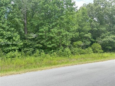 7 Albertha Fields Cir, Yemassee, SC 29945 - photo 4