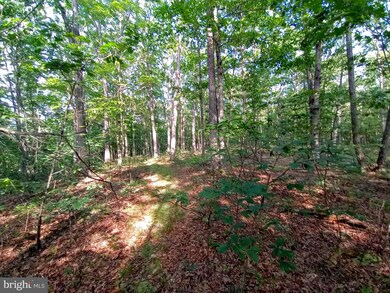 0 7 35 Acres Ash Ruckman Rd, Augusta, WV 26704 - photo 7