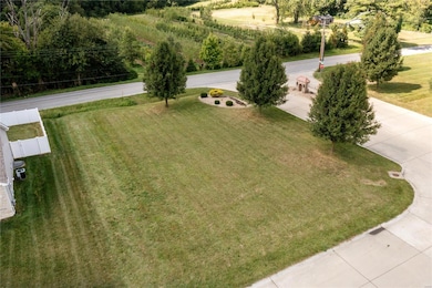 689 Vinci Dr, Caseyville, IL 62232 - photo 4