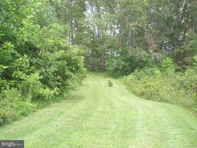 10 Peach Grove Rd, Louisa, VA 23093 - photo 3