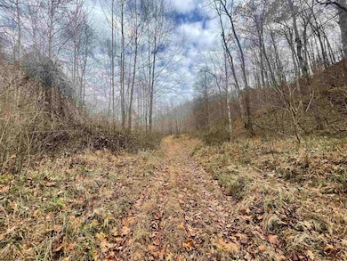 TBD Sand Fork Rd, Walkersville, WV 26447 - photo 4