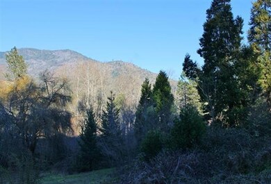 6105 Rogue River Hwy, Rogue River, OR 97537 - photo 3