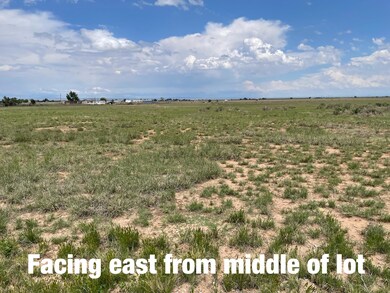 0 Clara Ln, McIntosh, NM 87016 - photo 5