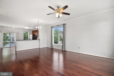 42780 Longworth Terrace, Chantilly, VA 20152 - photo 3