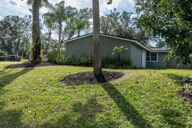 Side Yard 2nd View
