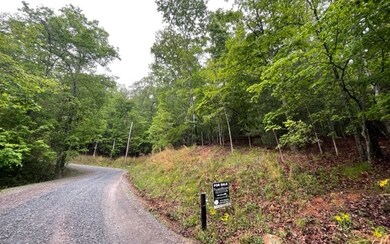 Additional View