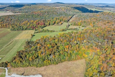 11-web-or-mls-moore-cove-rd