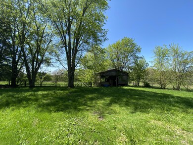 IMG_0652