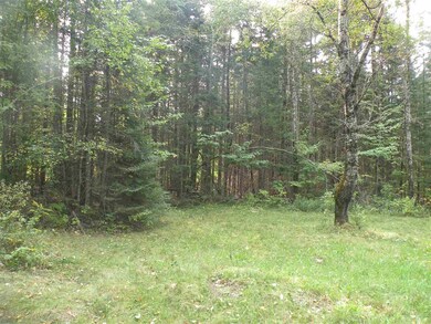 0 Route 3 N unit 4828785, Carroll, NH 03598 - photo 5