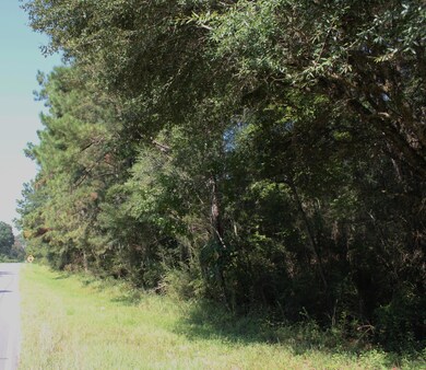 100-171 Cooks Corner Rd, Lucedale, MS 39452 - photo 4