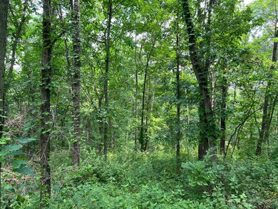 15 550n Ave, Timewell, IL 62375 - photo 5