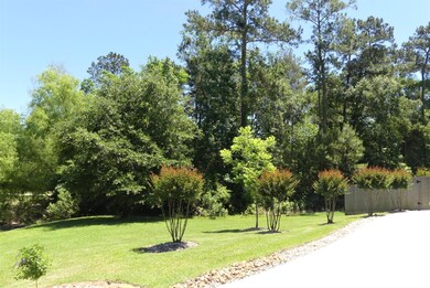 The lot to the left of the driveway is a Preserve,