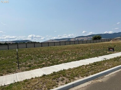 10808 Carrie Way, Island City, OR 97850 - photo 4