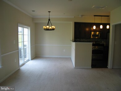 2803 Chinkapin Oak Ln unit 218, Woodbridge, VA 22191 - photo 5