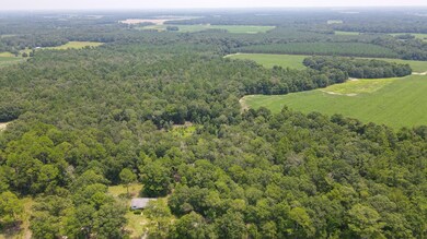 602 Bridges Rd, Cordele, GA 31015 - photo 3