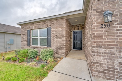 250 Landing Ln, New Braunfels, TX 78130 - photo 3
