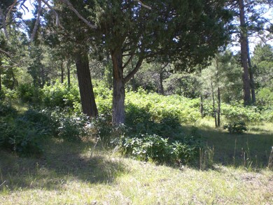 CIMG0852