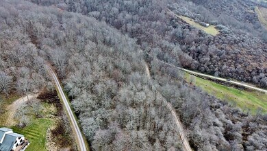 aerial1