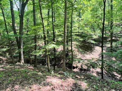Lot View-Ravine