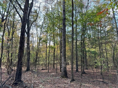 50 Hearthstone Dr, Carlton, GA 30627 - photo 5