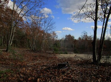 Strickland Ferry Wayne 004 (Custom) (2)
