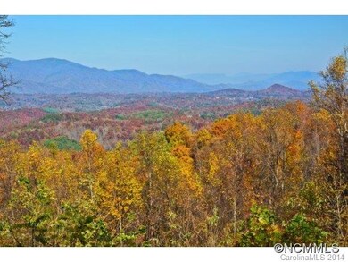 year round views Mt. Mitchell