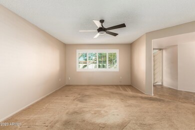 0009-6 - Campana 10301