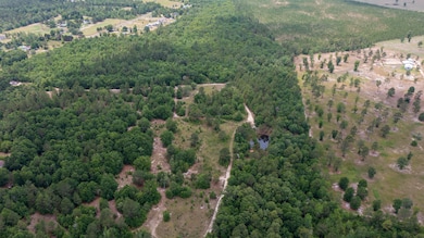 DJI_0318