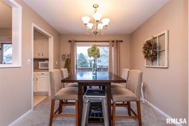 5518 N Ramblewood Ct, Peoria, IL 61615 - photo 5